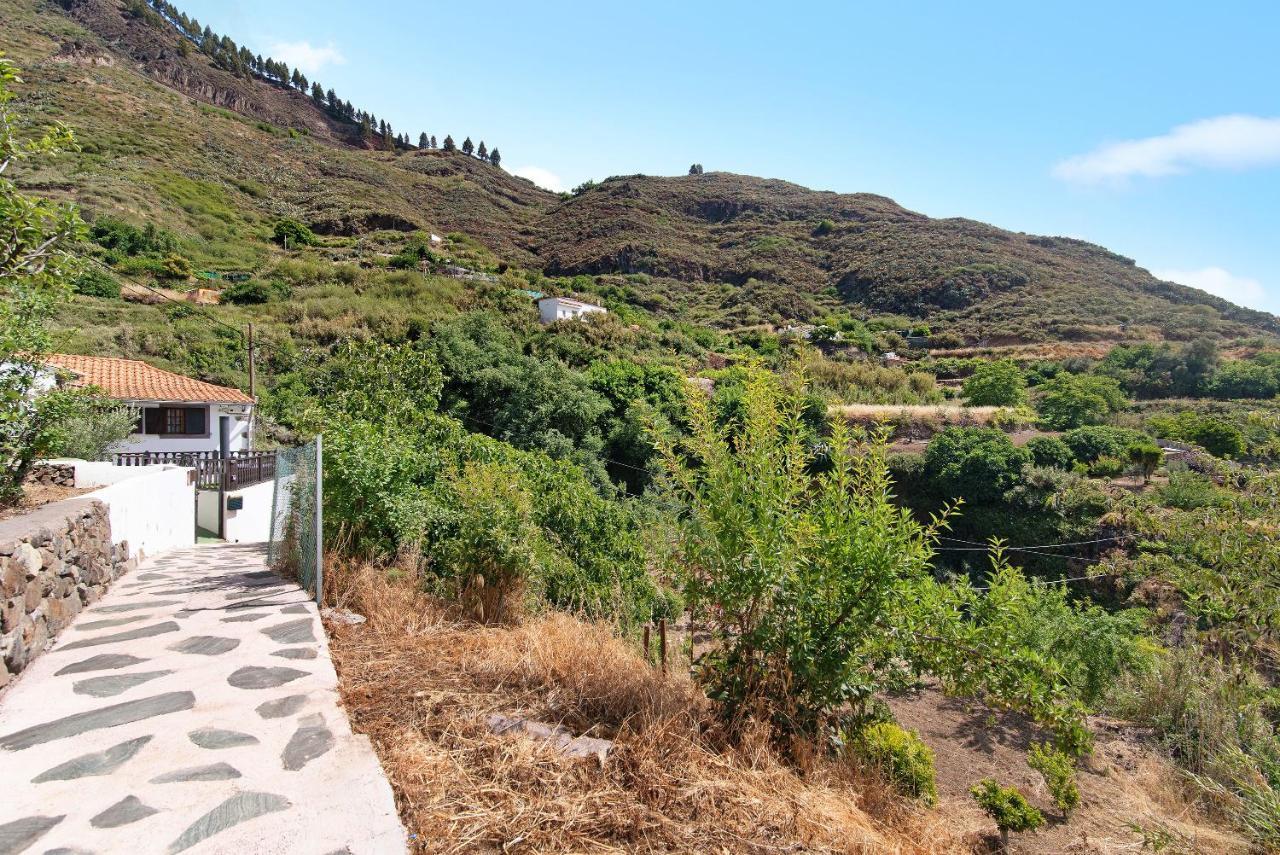 Casa Abuela Fela Βίλα Vega de San Mateo Εξωτερικό φωτογραφία