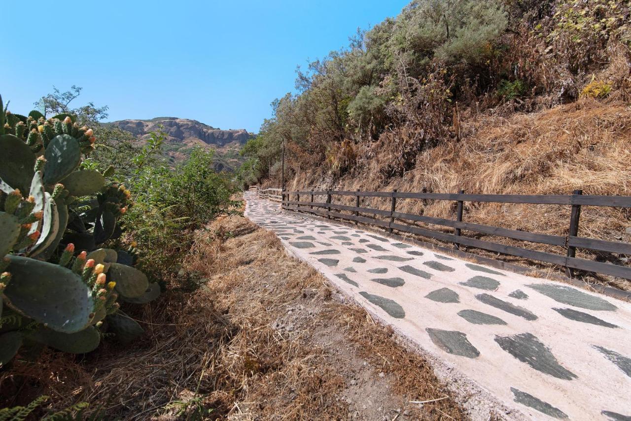 Casa Abuela Fela Βίλα Vega de San Mateo Εξωτερικό φωτογραφία