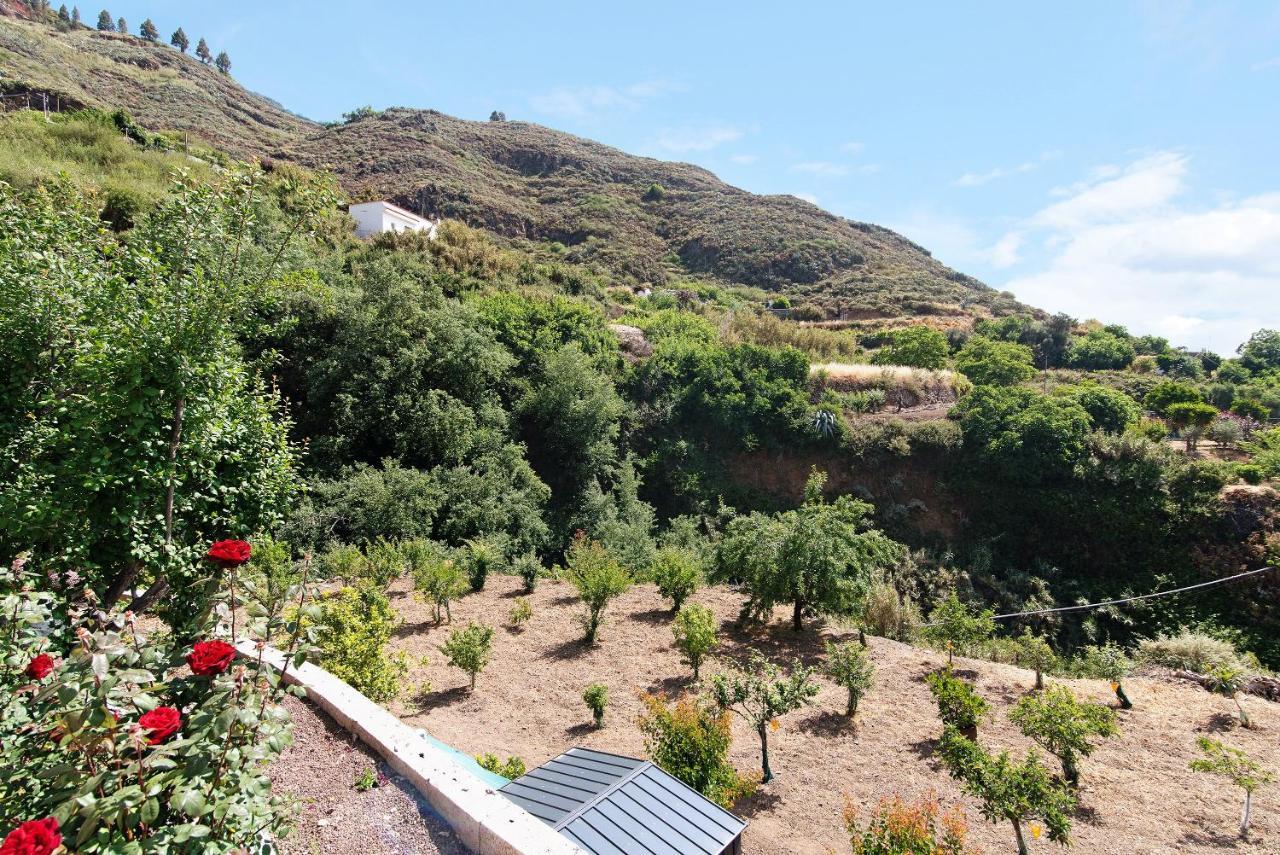 Casa Abuela Fela Βίλα Vega de San Mateo Εξωτερικό φωτογραφία